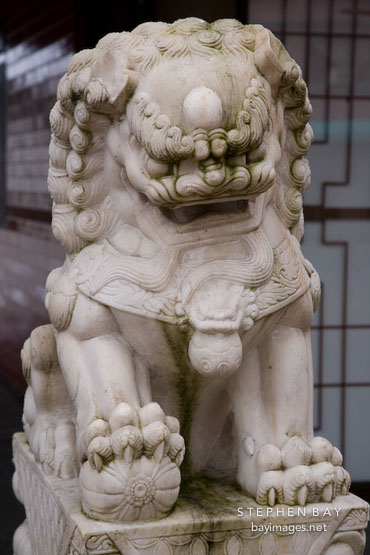 Fu dog statue in Chinatown. Vancouver, Canada.