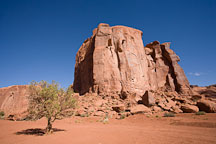 Tree and Spearhead Mesa. Monument Valley, Arizona. - Photo #18800