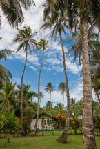 House. Tortuguero village, Costa Rica. - Photo #14011