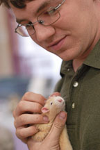 Volunteer Justin Harvey scratches a pet rat. The Wonderful World of Rats, San Mateo, California, USA. - Photo #6038