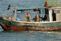 Fisherman pulling up catch. Victoria Harbor, Hong Kong, China. - Photo #15640