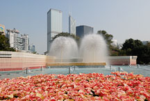 Poinsettia flower bed in front of fountains. Hong Kong Park, Hong Kong, China. - Photo #16440