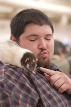 A volunteer plays with a pet rat. The Wonderful World of Rats, San Mateo, California, USA. - Photo #6041
