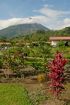 Arenal Volcano. Alajuela, Costa Rica. - Photo #14145