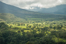 Hillside of Arenal Volcano. Costa Rica. - Photo #14146