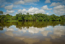 Canals in Tortuguero National Park. Costa Rica. - Photo #14053