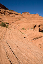 Pictures of White House Trail