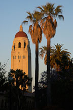 Hoover Tower and palm trees at sunset, Stanford, California. - Photo #1358