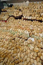 Tagua nut animal carvings. Jade Market, Yau Ma Tei, Hong Kong, China. - Photo #15358