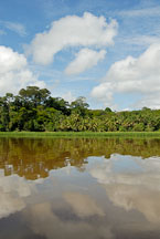 Tortuguero National Park, Costa Rica. - Photo #14058