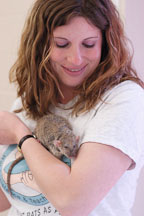 A volunteer holds her pet rat. The Wonderful World of Rats, San Mateo, California, USA. - Photo #6074
