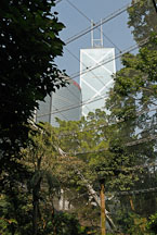 Skyscrapers seen through the canopy and steel mesh of the Edward Youde Aviary. Hong Kong, China. - Photo #16478
