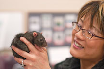 Nancy Zee holds up a pet rat. The Wonderful World of Rats, San Mateo, California, USA. - Photo #6079