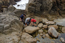 Children investigating tide pools. 17-Mile drive, California, USA. - Photo #4783