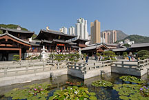 Lily garden. Chi Lin Nunnery. Hong Kong. - Photo #15888
