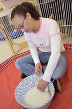 A volunteer plays with a pet rat. The wonderful world of rats. - Photo #5992