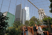 The Edward Youde Aviary is located in the center of Hong Kong. Hong Kong, China. - Photo #16493