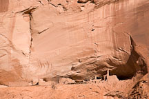 First Ruin. Canyon de Chelly, Arizona. - Photo #18093