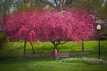 Old woman sitting on a bench in the Sunken Garden. Pella, Iowa. - Photo #32693